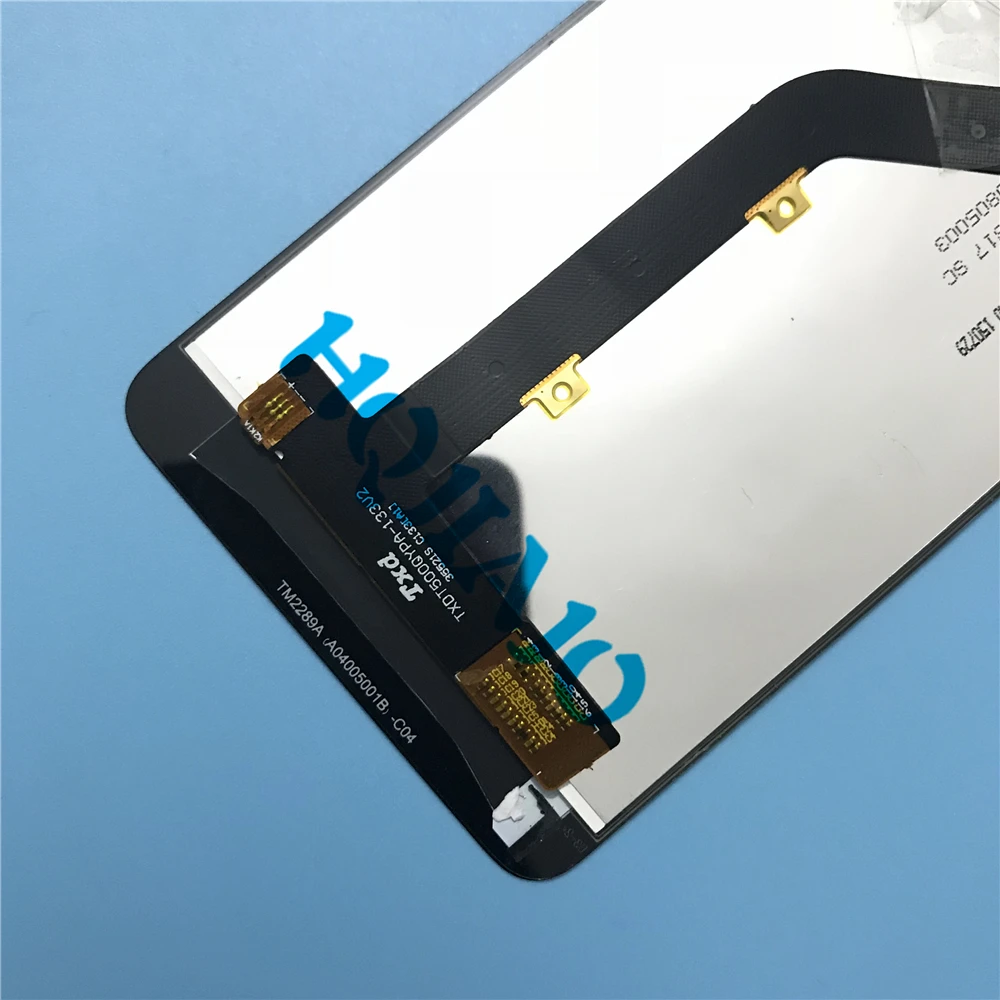 B6