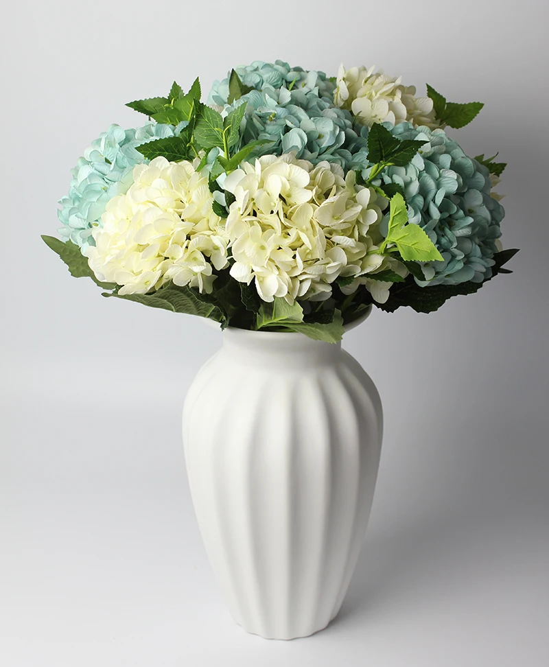 5white5waterblue
