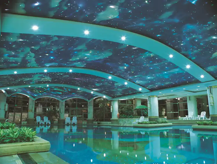 New UV Star Printed Skylight PVC stretch ceiling filmceiling skylights