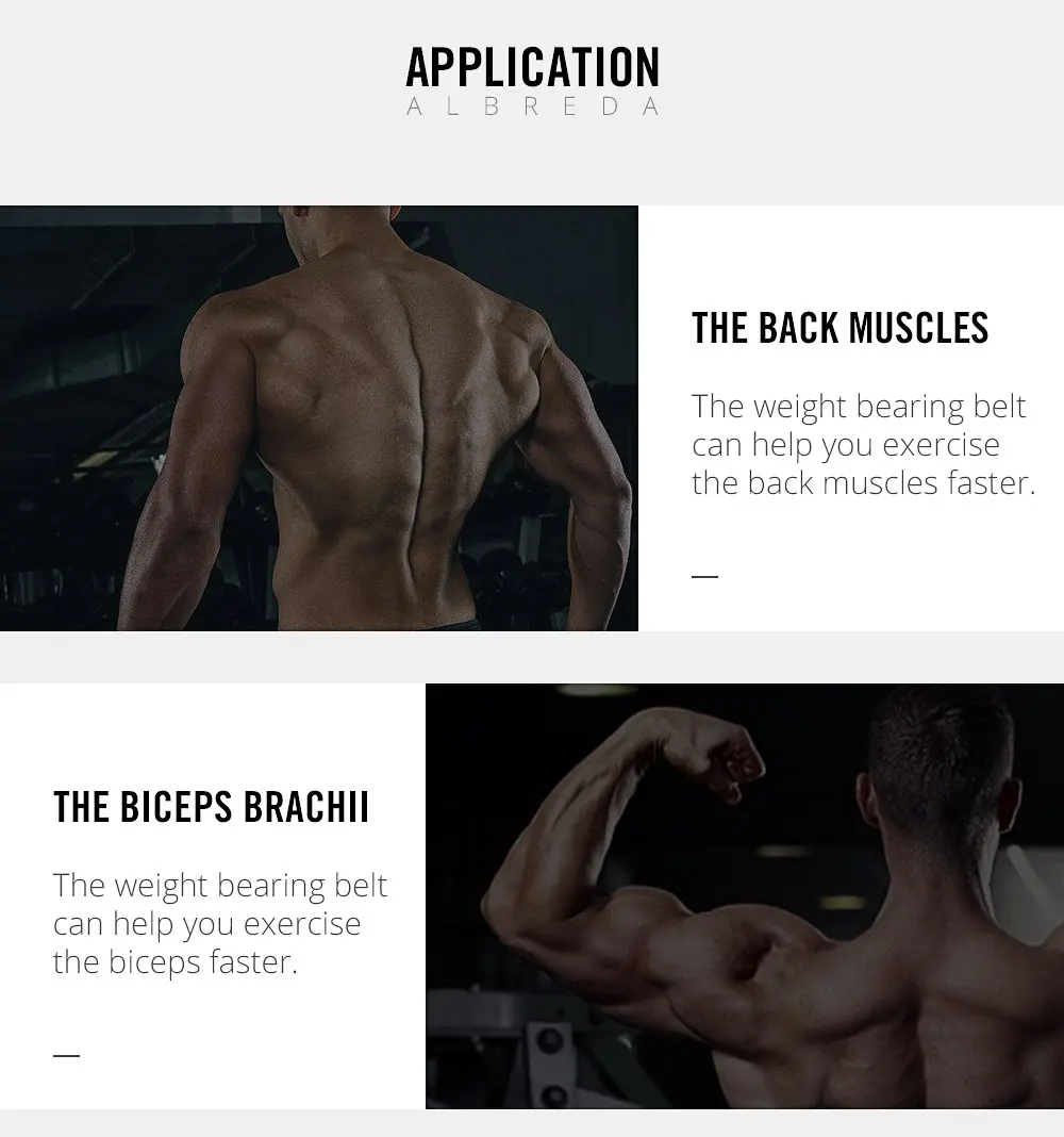 Gym Dumbbells Weight Lifting Belt Fitness Equipment Drop Shipping Dip Belt Strength Pull Up Load Belt Power Exercise