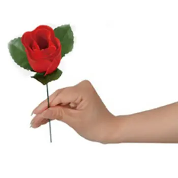 

Stage Property Performance Show Magic Trick To Red Rose Flower Lover's Gift