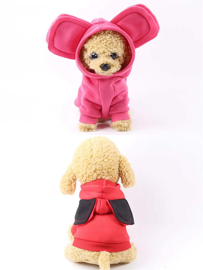dog coat puppy (5)