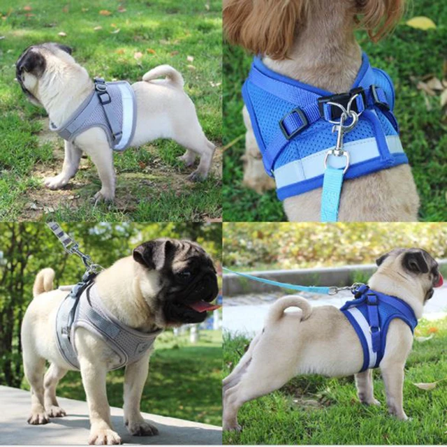 Vest Harness Leash Adjustable Mesh Vest Dog Harness Collar Chest Strap Leash Harnesses With Traction Rope XS/S/M/L/XL 4