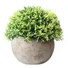 Artificial Plastic Potted Green Plant
