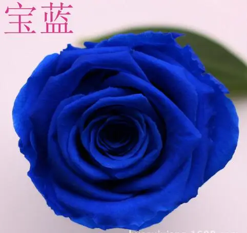 

8pcs 4-5cm Preserved Flower Rose Bud Head for Wedding Party Holiday Birthday Velentine's Day Gift Favor