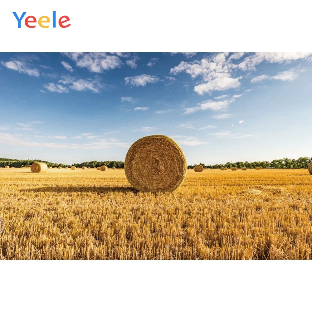 

Yeele Vinyl Autumn Harvest Wheat Fields Haystack Scenenry Photography Background Customized Photocall Backdrop For Photo Studio