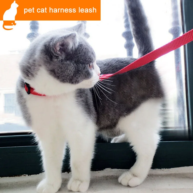 1808112891_1118210482