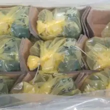 Насос rexroth R902418460 AE A4VSO40 DR/10R-VPB13N00