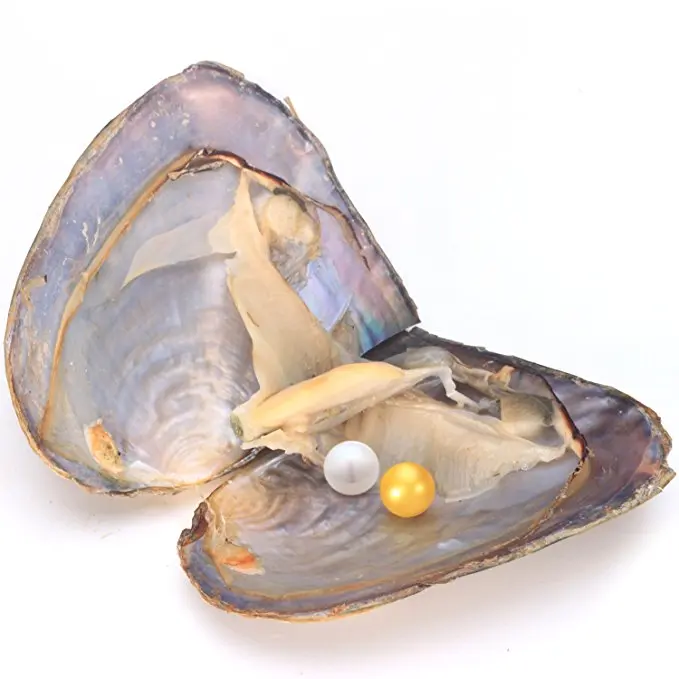 71%2BsefjxBUL._SX679_