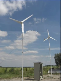 

3.2-1000W-LL wind mill 1000 distinguish build in controller/high quality stable mini wind power generator
