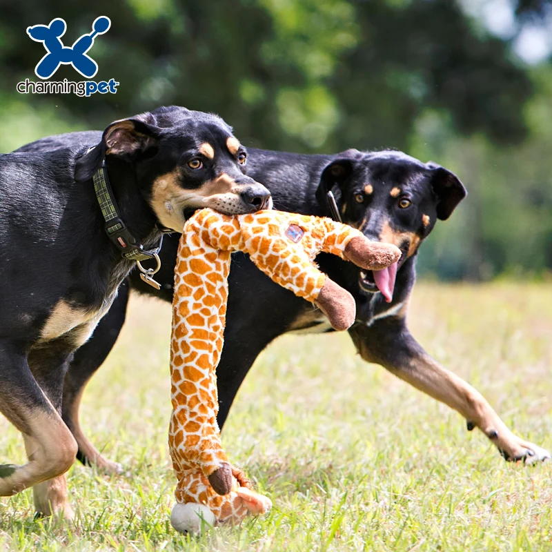 Charmingpet игрушки для собак жираф кролика енота лиса тренировки|Игрушки собак| |