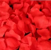 1000 X лепестки шелковой розы цвета слоновой кости? (упаковка из тысячи) как