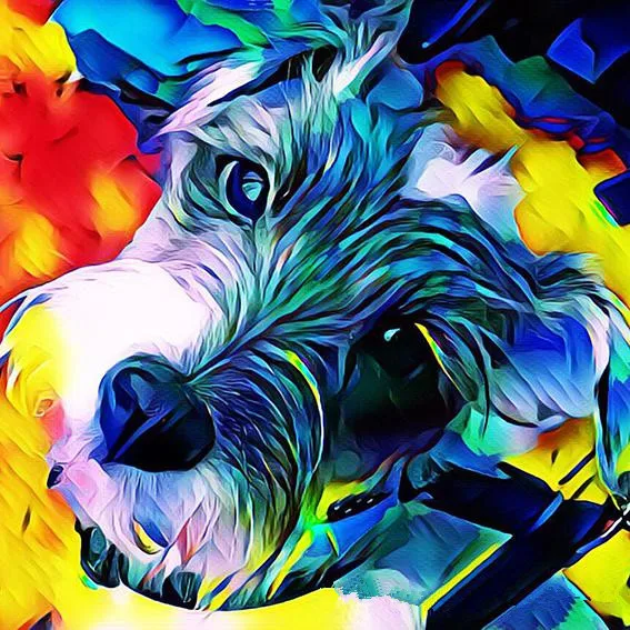 Diy алмазная живопись пейзажи eigen foto Mein Schnauzer собака животное Мандала Алмазная