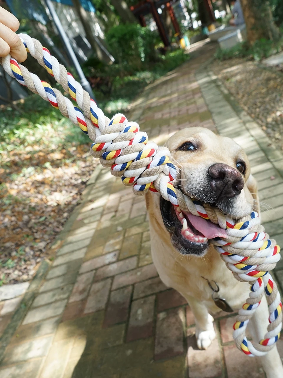 Pet toys bite-resistant knot interactive grinding stick large dog chewing gum golden retriever dog tooth cleaning toys