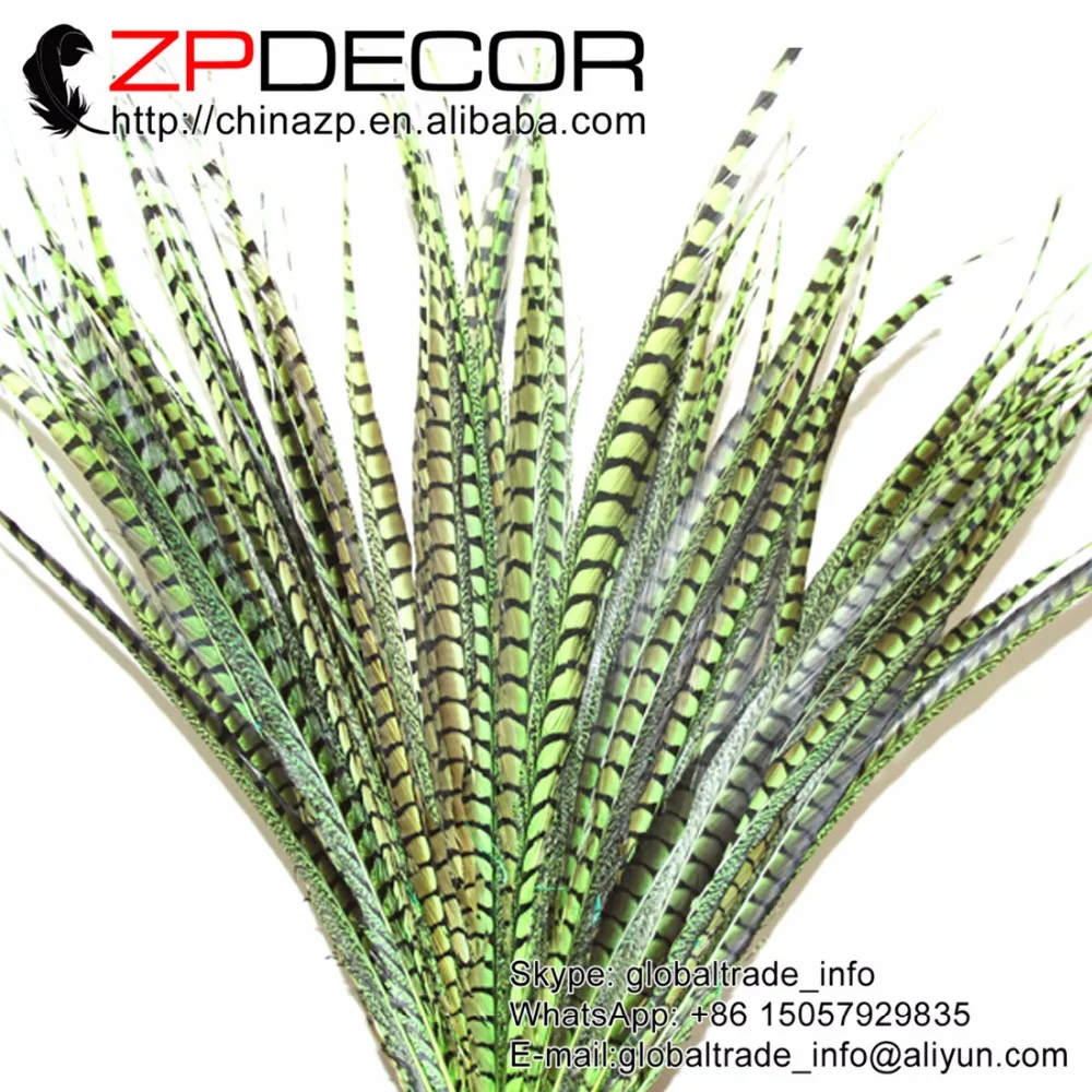 

ZPDECOR Good Selling 28-32inch(70-80cm) 20pieces/lot Pretty Lime Green Lady Amherst Pheasant Tail Feather for Carnival Decor