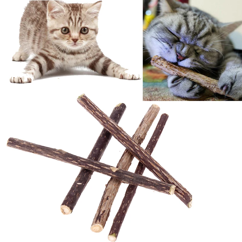 

5/12 PCS Cat Cleaning Teeth Natural Catnip Pet Cat Molar Toothpaste Stick Silvervine Actinidia Fruit Matatabi Cat Snacks Sticks