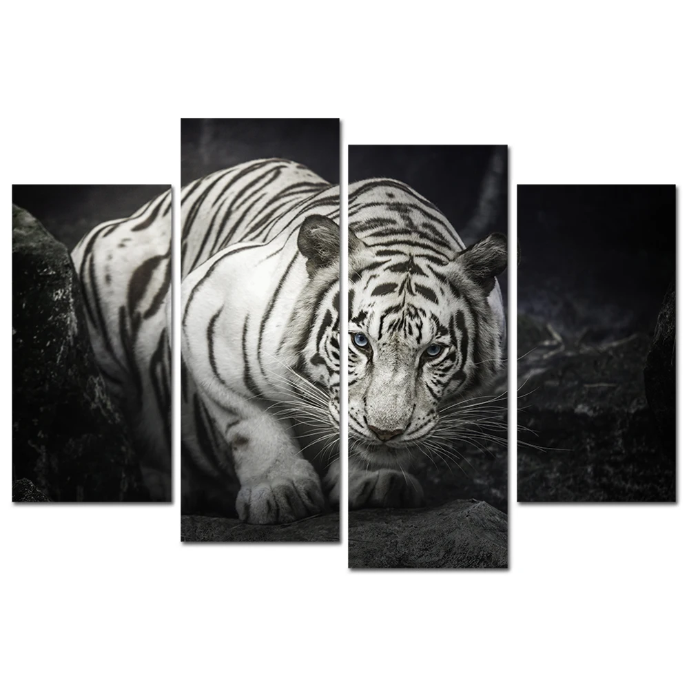 SJMV87 120x85-1 