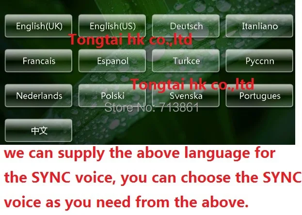 Top 7" for ford ecosport 2013-2014 car dvd player,GPS Navigation,IPOD,BT,radio,3G,canbus,SYNC100%,wince,portuguese,spanish,English 1