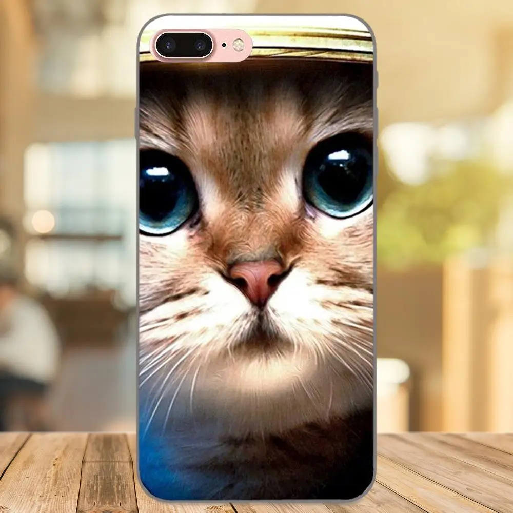 Curious Cat подкрадывающийся ТПУ телефон для Samsung Galaxy A3 A5 A6 A6s A7 A8 A9 Star Plus 2016 2017