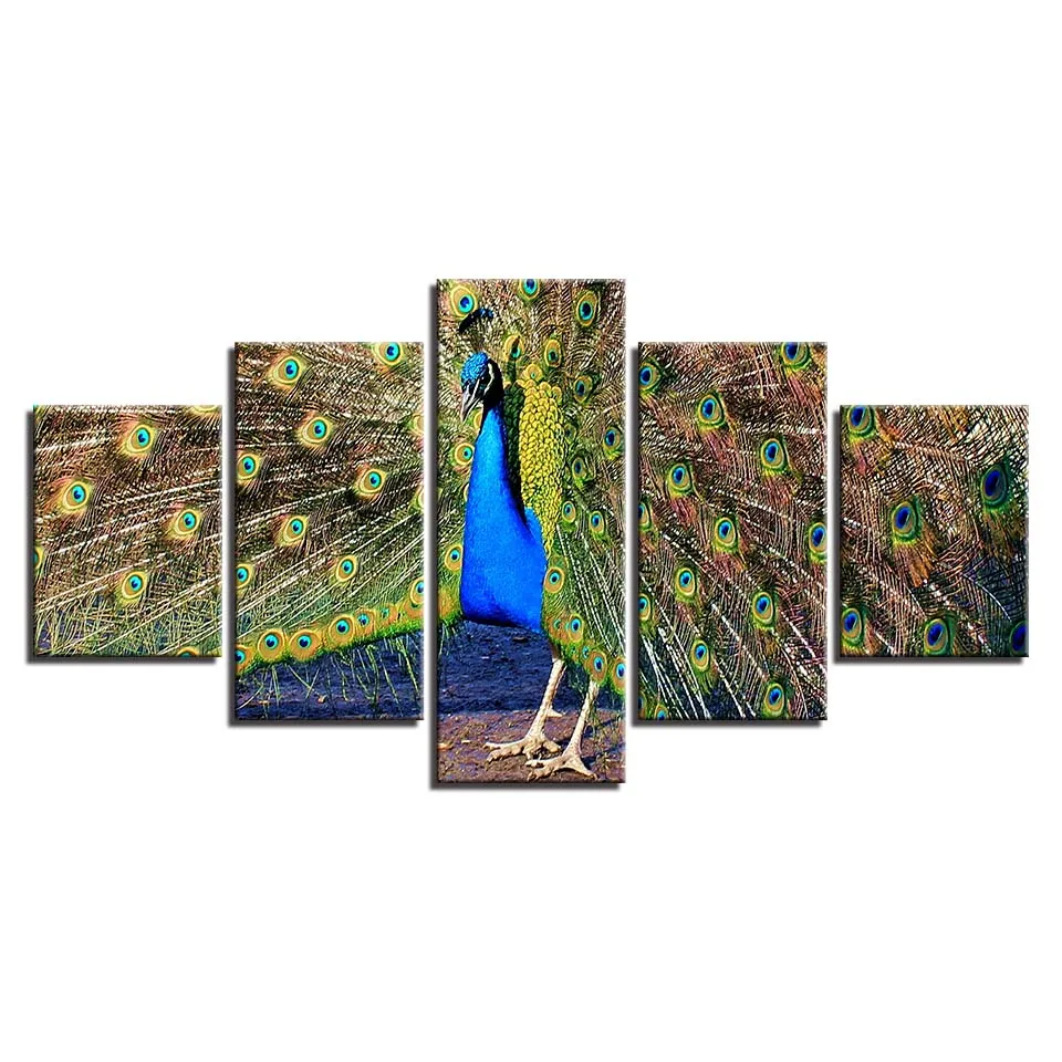 HTB1eK34bnTI8KJjSsphq6AFppXaN