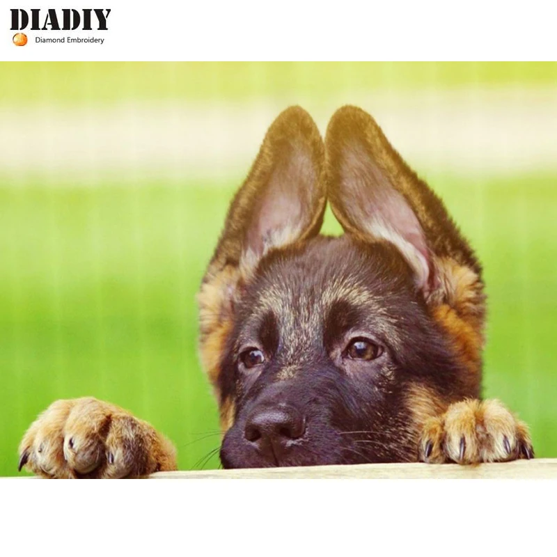 Алмазная вышивка DIADIY Очаровательная немецкая овчарка полная сделай сам