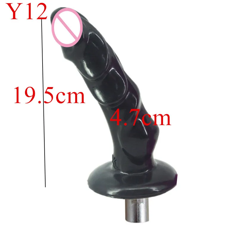 Y12 (1)