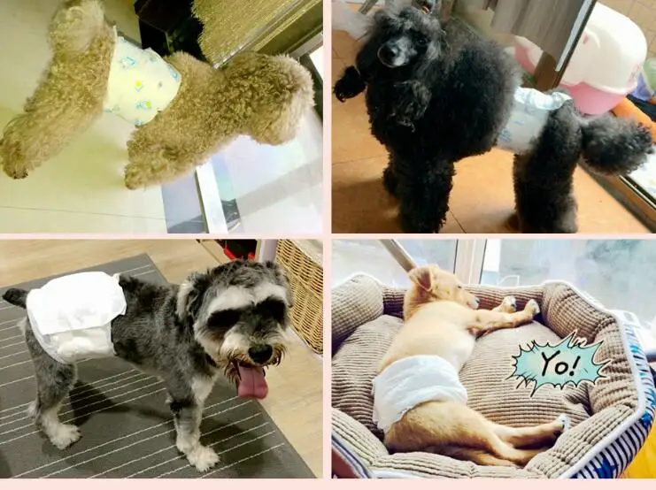 pet-diapers (15)