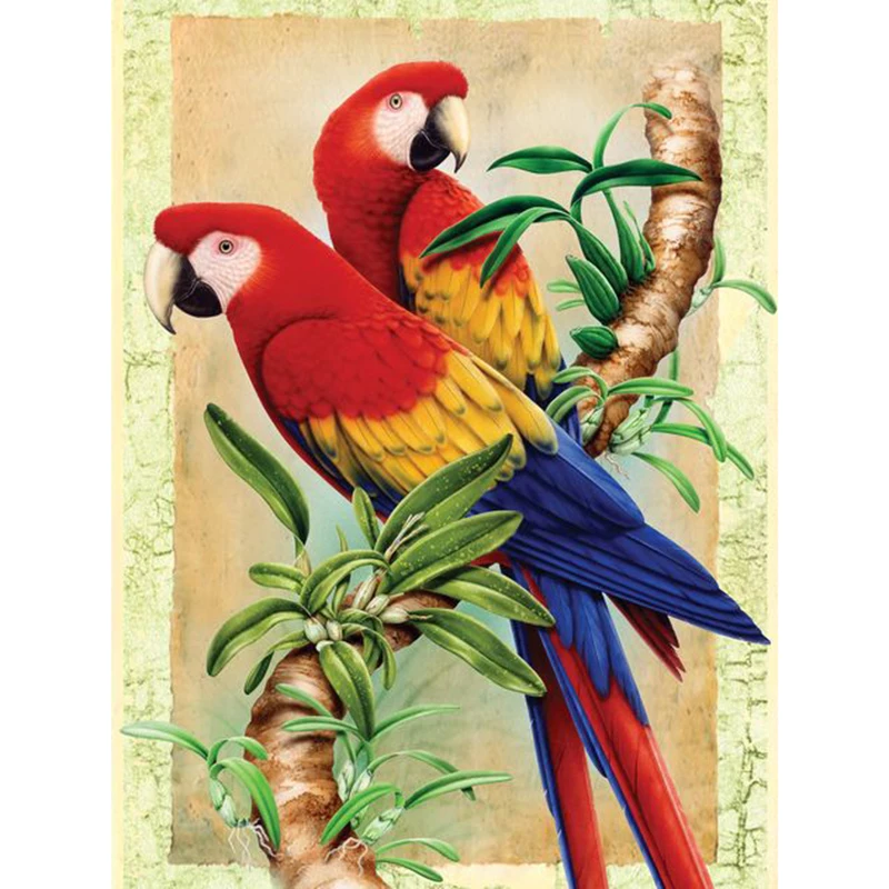 0f33b9d9f48fff090a1a09784bcd5ab8--tropical-birds-tropical-style (2)