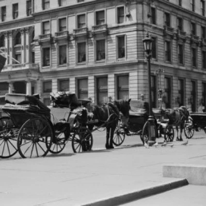 USA  New York City  horse buggies at Fifth Avenue and 59th Street Poster Print (18 x 24)