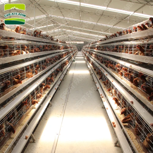 

10 Sets Sample poultry A laying Chicken cages FARM Uesd Q235 Steel Wire Folding Chicken Cages hot dip galvanized 20 years