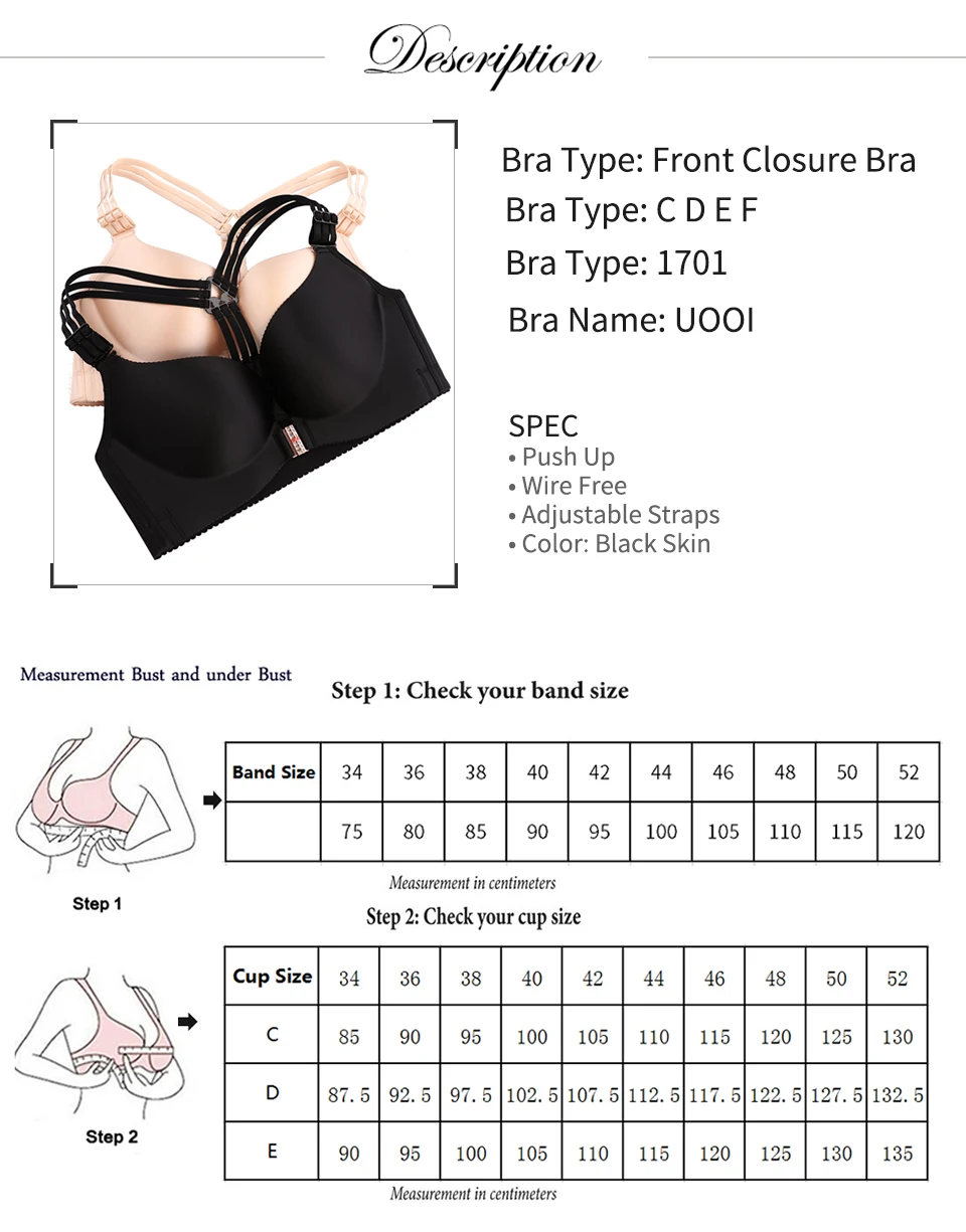 description1