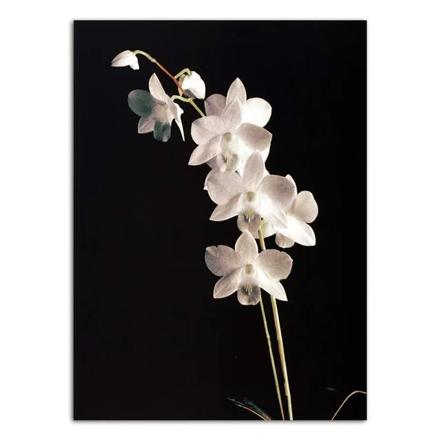 Home-Decoration-Wall-Art-Poster-Nordic-Print-Canvas-Paintings-Picture-Black-background-white-and-gold-flowers.jpg_640x640 (3)