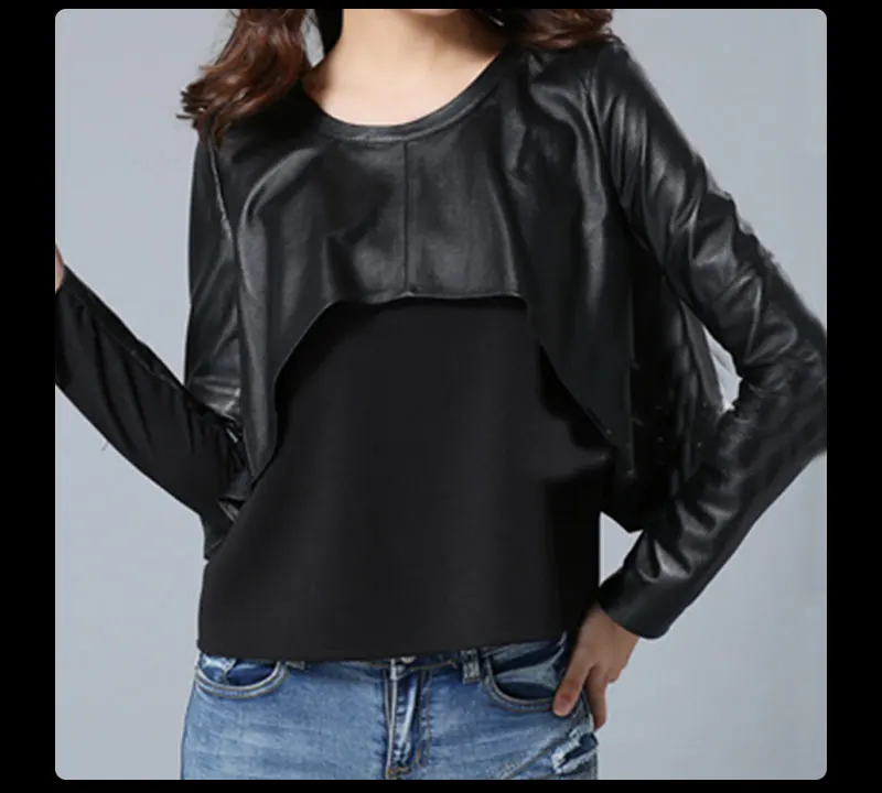 LT1293 (15)