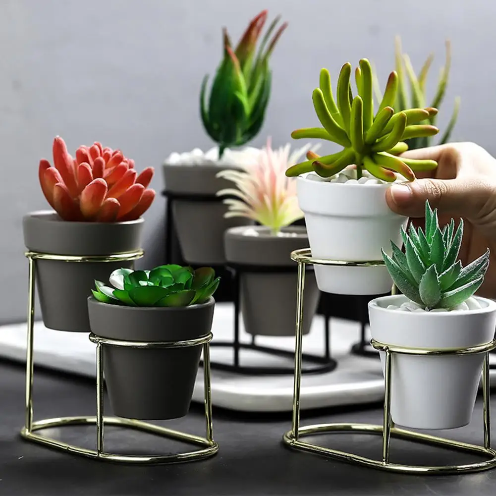 

Nordic Wrought Iron Fleshy Flower Pot Gold-plated Ins Simple Iron Frame Ceramic Flower Pot Green Plant Clay Pot Set