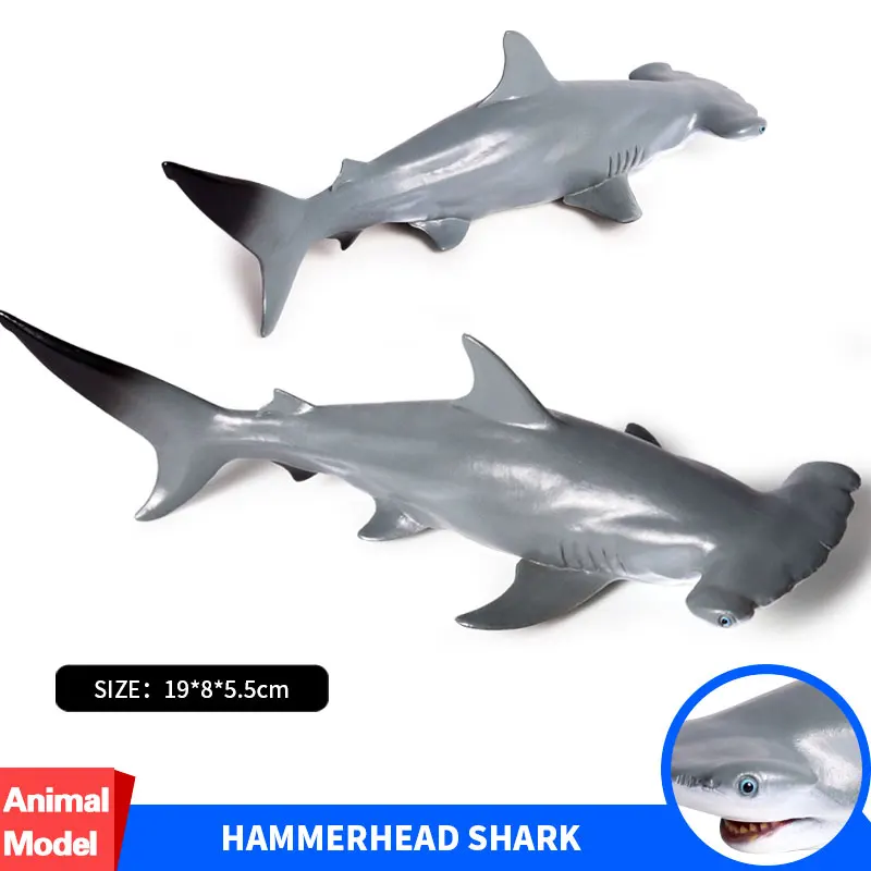

Oenux модель морских животных Hammerhead, Акула, морские животные, Кит, Акула, твердые ПВХ фигурки, коллекция игрушек для детей, подарок