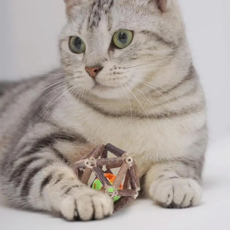 1 шт. натуральный шар Silvervine Catnip Pet Cat Игрушка для зубов Зубная паста ветка чистка зубов кошка интерактивные грызальные палочки товар для животных
