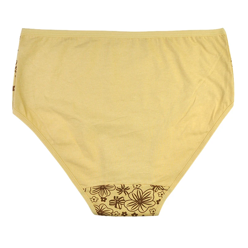 LOBBPAJA Lot 6 pcs Plus Size Women Underwear Cotton High Waist Sexy Floral Ladies Bikini Panties Briefs for Women XXL 3XL 4XL