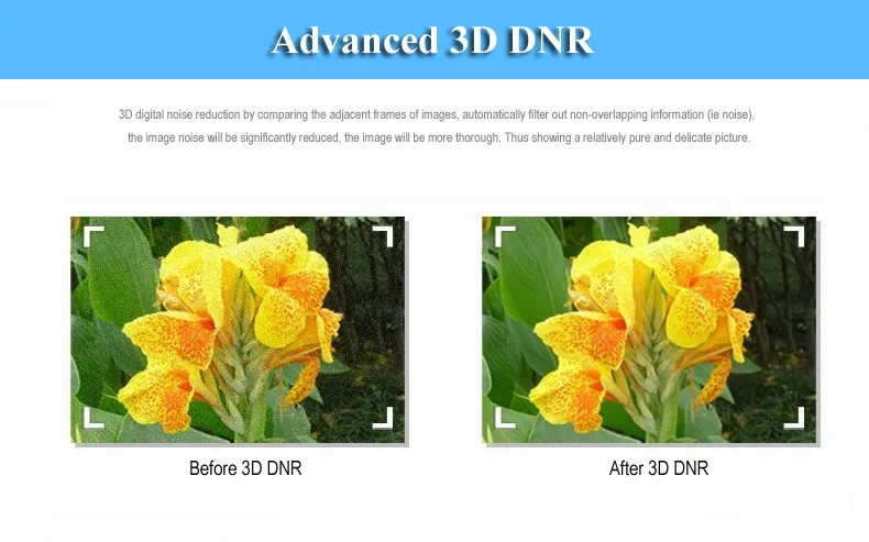 3D DNR