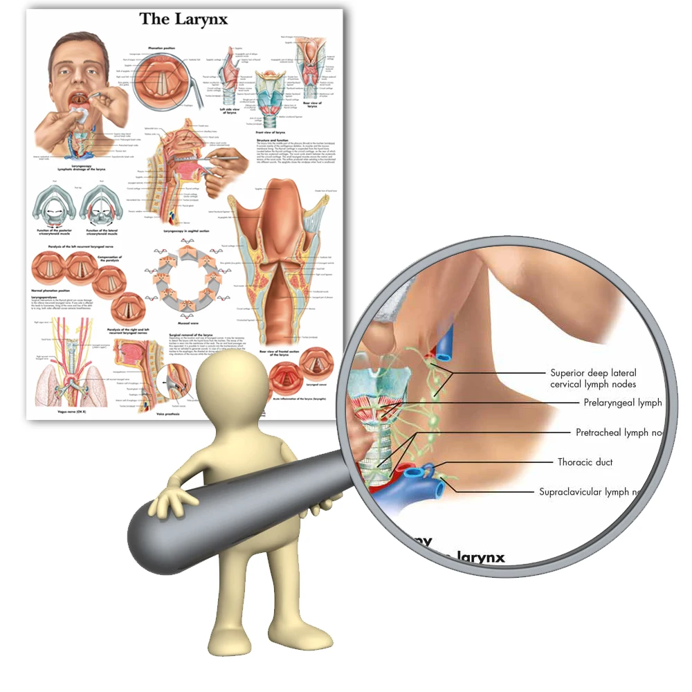 WANGART анатомические диаграммы гортани диаграмма холст печать настенные картины для гостиной медицинское образование офис Домашний декор