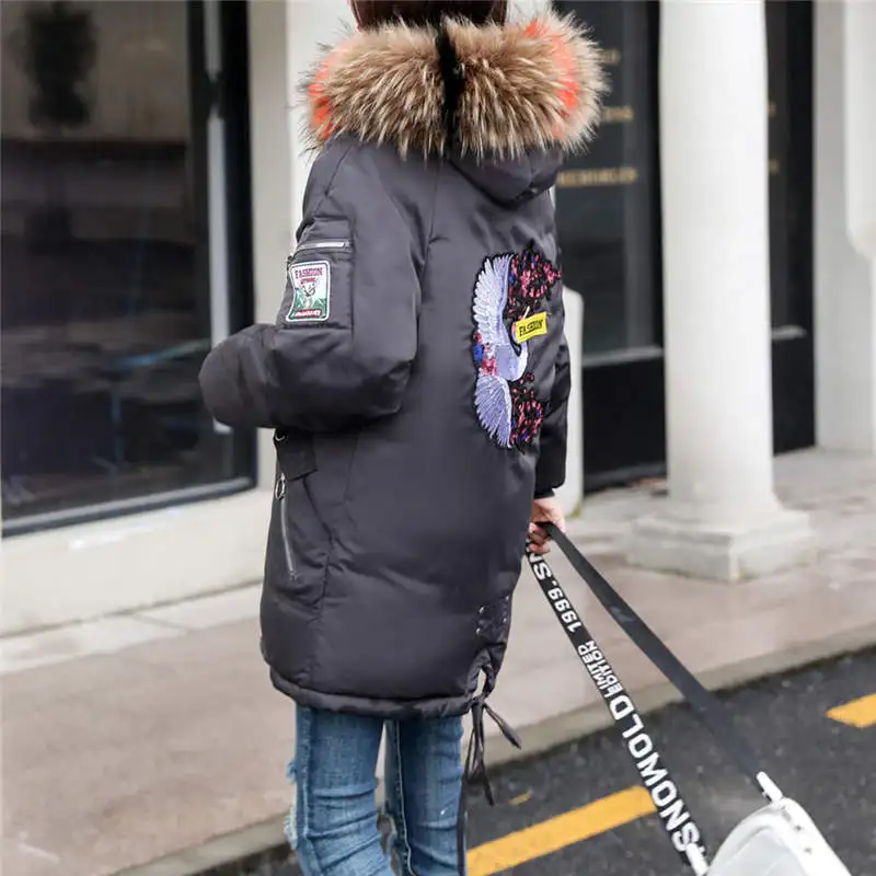 ZSS81114425_20181114032728910
