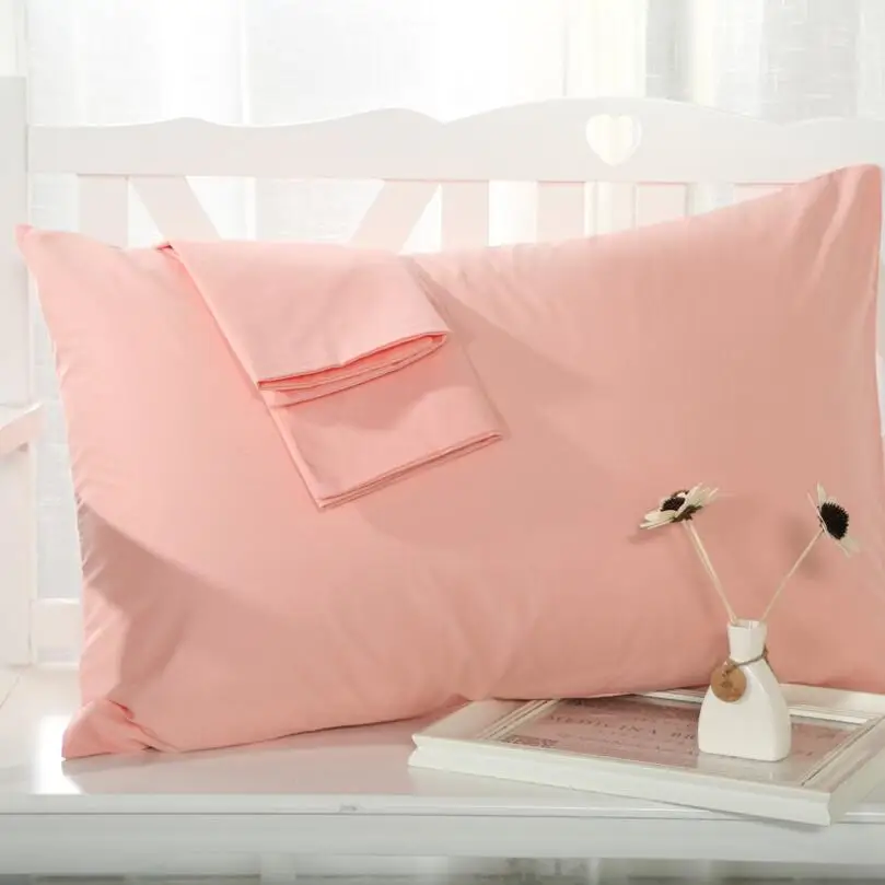 Kess InHouse Suzanne Carter Vintage Wings Nature Black 30 x 20 Pillow Sham