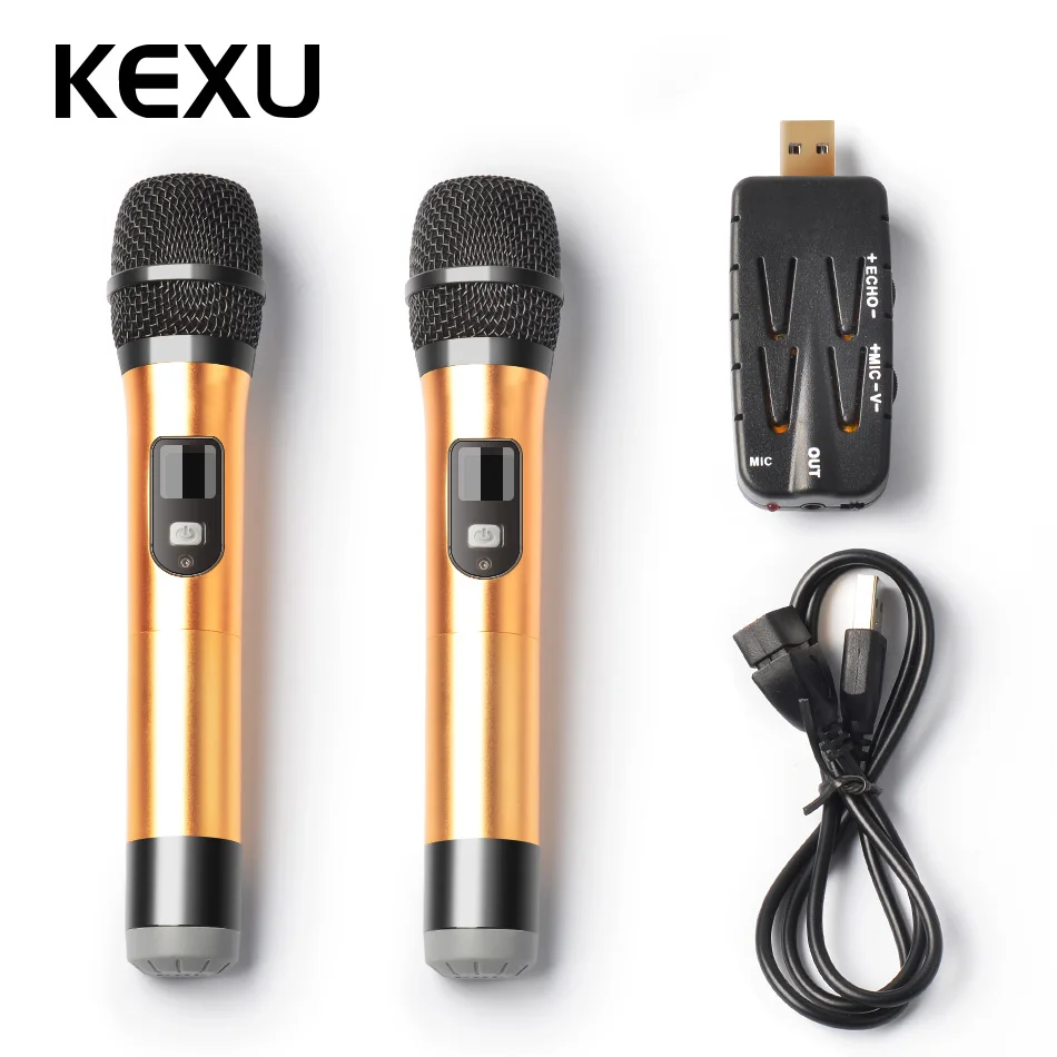 

KEXU 2PCS TP-WIRELESS Dual Channel USB Wireless Microphone for Karaoke Conference Lecture Stage Wedding Recording Singing online