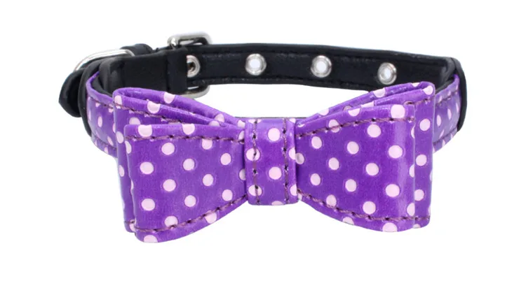 dog collar (5)