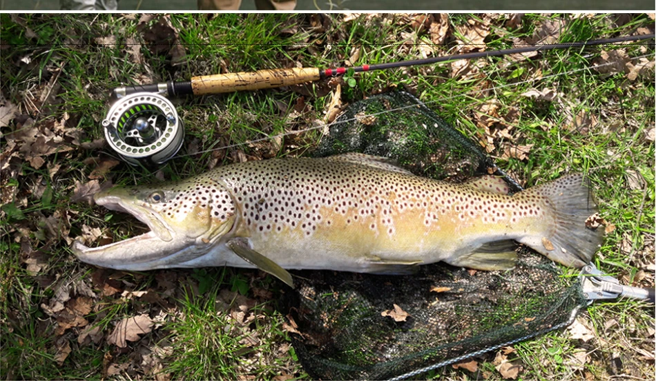 Carretel de Pesca 2 + 1bb Goture Grande Arbor 3 - 4 5 6 7 8 9 10 wt Aço Inoxidável Pesca Mosca Carretéis Acessórios Fly 1:1 22 6 7 8 9 10 wt aço