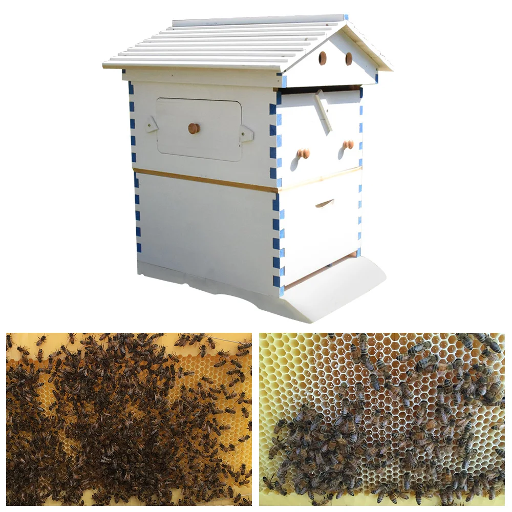 

Automatic Wooden Beehive House Beehive Frame Bee Hive Wooden Bees and Beekeeping Equipment Hive Beehive Supply Beekeeper Tools