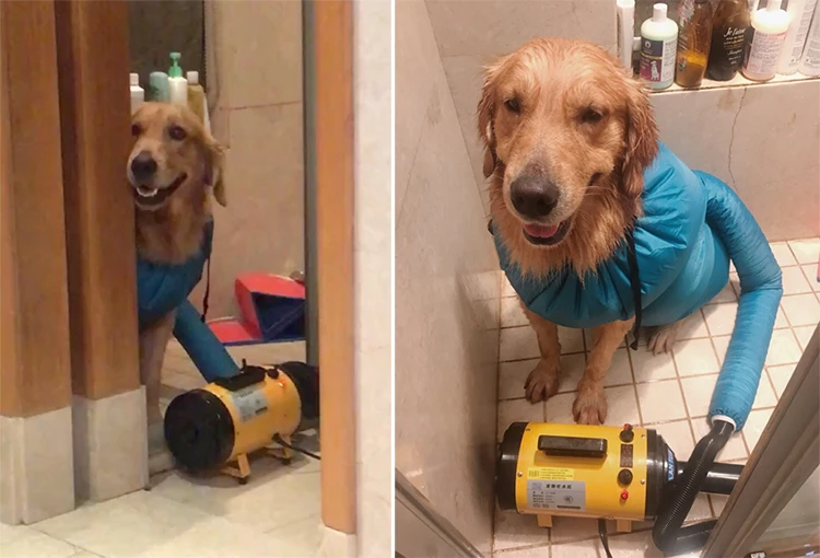 TB20wRCb5b.BuNjt_jDXXbOzpXa_!!2288368228