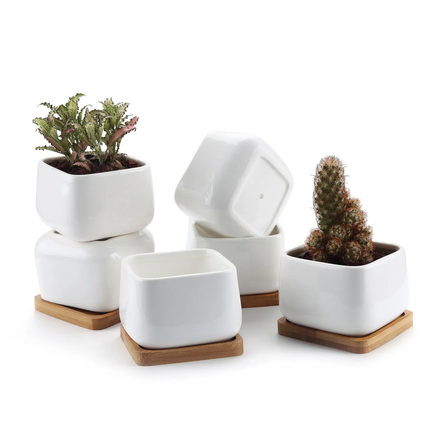 

T4U 3.75 Inch Ceramic White Square NO.2 succulent Plant Pot/Cactus Plant Pot with FREE Bamboo Tray Package 1 Pack of 6