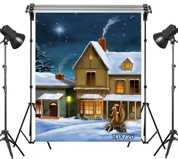 

LB Polyester & Vinyl Squirrel Wearing A Christmas Hat Snow Covered Street Photography Photo Background Studio Backdrop Decor
