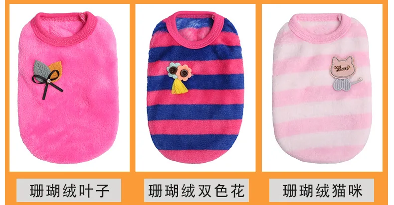 20180827_172529_083