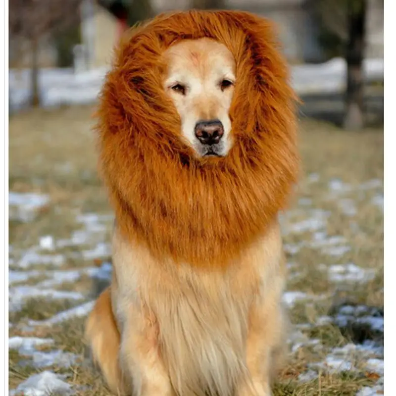 Костюм для домашних питомцев, кошек, одежда на Хэллоуин, маскарадный парик с гривой льва для собак, праздничное платье 40 см x 38 см#03